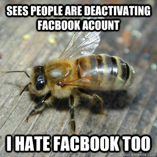 Sees people are deactivating facbook acount I hate facbook too   Hivemind bee