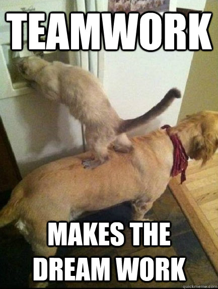 teamwork makes the dream work  Teamwork