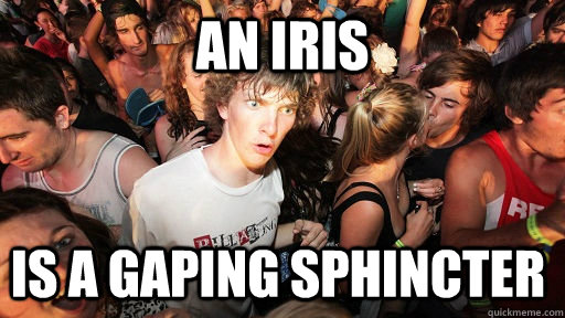 an iris is a gaping sphincter  Sudden Clarity Clarence