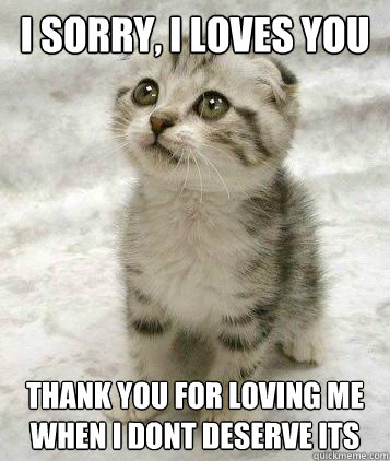 I sorry, i loves you Thank you for loving me when i dont deserve its  Sad cat