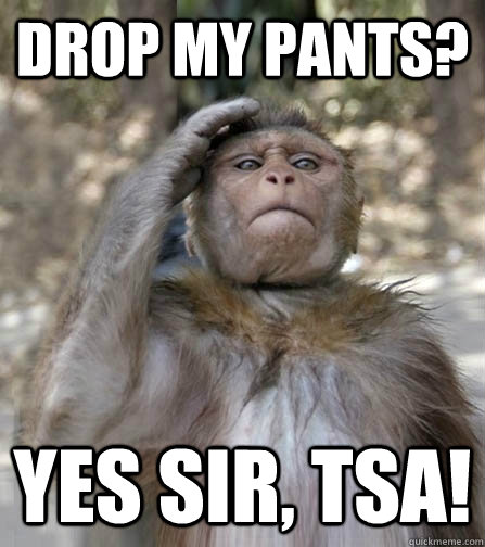 drop my pants? Yes Sir, TSA! - drop my pants? Yes Sir, TSA!  Obedience Monkey