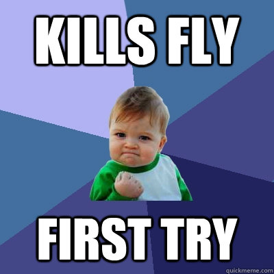 Kills fly First try  Success Kid