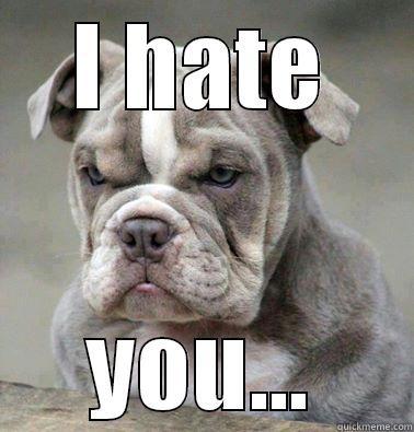 I HATE YOU... Lazy College Senior
