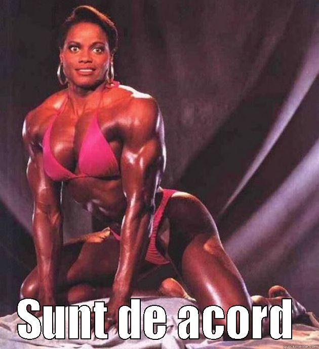  SUNT DE ACORD Misc