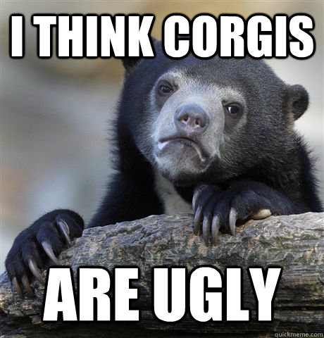 i think corgis  are ugly  - i think corgis  are ugly   Confession Bear