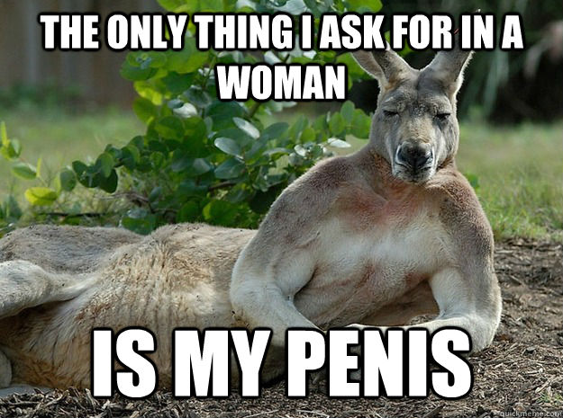 The only thing i ask for in a woman Is my penis  Sexually Forward Kangaroo