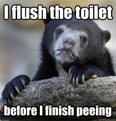 I flush the toilet before I finish peeing  Confession Bear