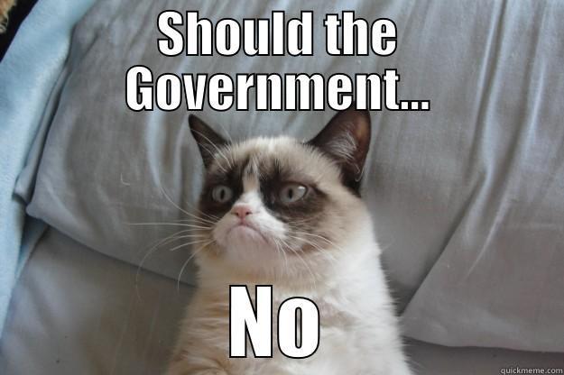 Libertarian Cat - SHOULD THE GOVERNMENT... NO Grumpy Cat