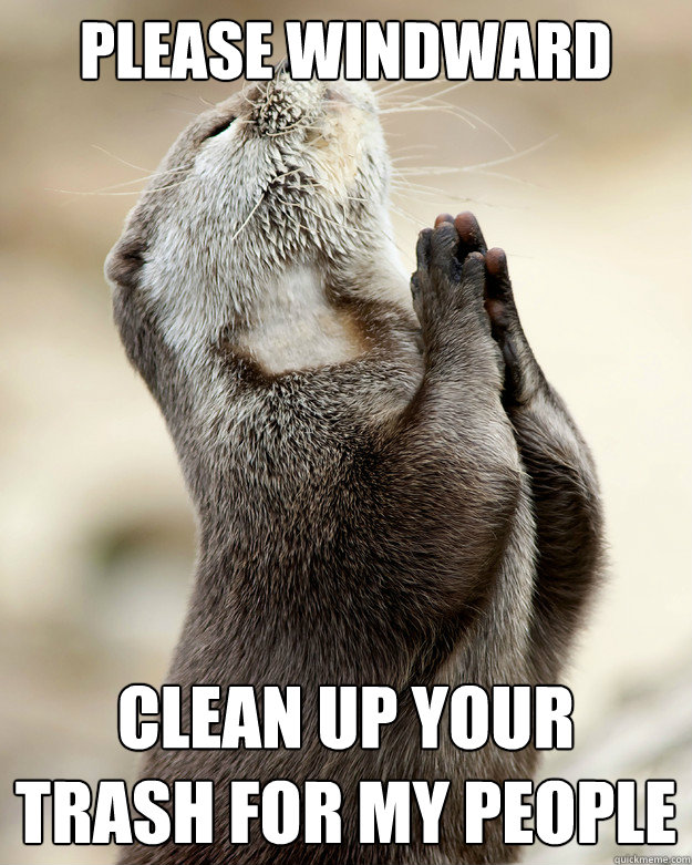 Please Windward Clean up your trash for my people - Please Windward Clean up your trash for my people  Otter praying