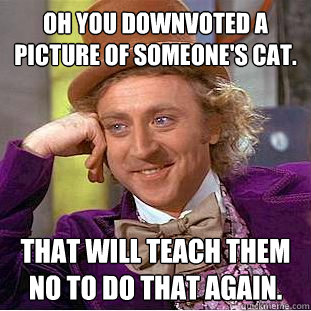 Oh you downvoted a picture of someone's cat. That will teach them no to do that again.  Condescending Wonka