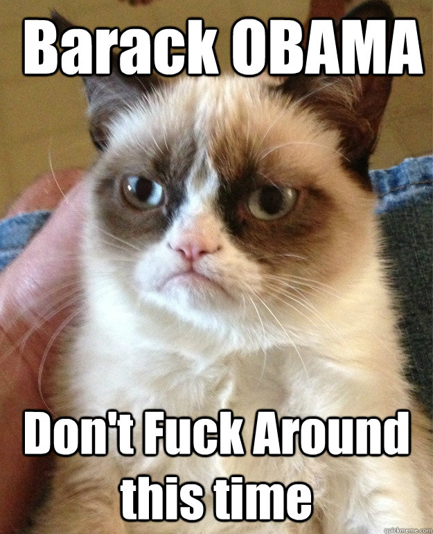  Barack OBAMA Don't Fuck Around this time  Grumpy Cat