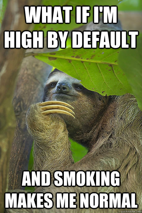 what if i'm high by default and smoking makes me normal  Philososloth