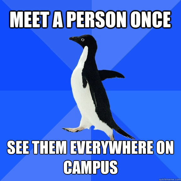 Meet a Person once see them everywhere on campus  Socially Awkward Penguin