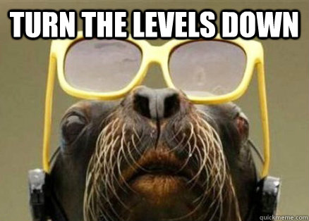 turn the levels down  - turn the levels down   Clubbin with DJ Seal