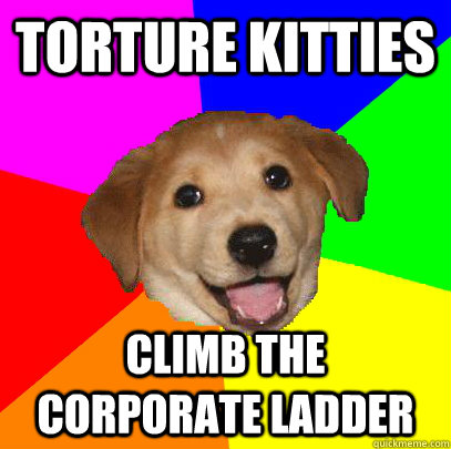 torture kitties climb the corporate ladder - torture kitties climb the corporate ladder  Advice Dog