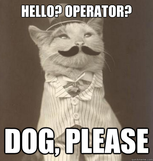 HELLO? OPERATOR? dog, PLEASE    Original Business Cat