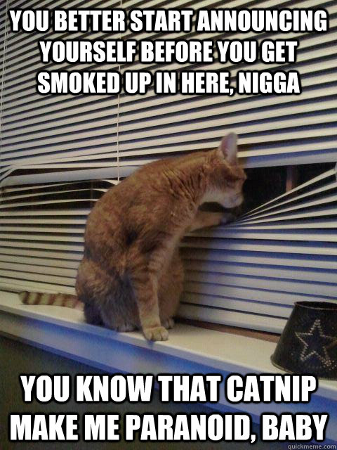 you better start announcing yourself before you get smoked up in here, nigga You know that catnip make me paranoid, baby  Peeping Tomcat