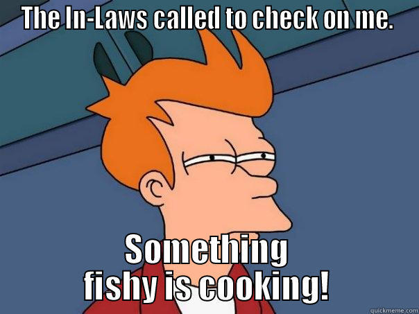 THE IN-LAWS CALLED TO CHECK ON ME. SOMETHING FISHY IS COOKING! Futurama Fry