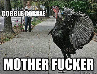 GOBBLE GOBBLE mother fucker  