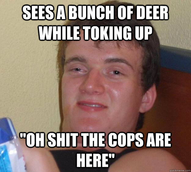 Sees a bunch of deer while toking up 