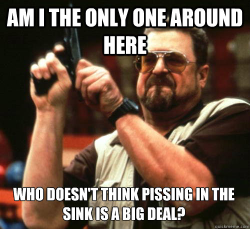 Am i the only one around here Who doesn't think pissing in the sink is a big deal?  Am I The Only One Around Here