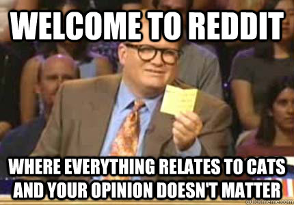 WELCOME TO reddit Where everything relates to cats and your opinion doesn't matter - WELCOME TO reddit Where everything relates to cats and your opinion doesn't matter  Whose Line