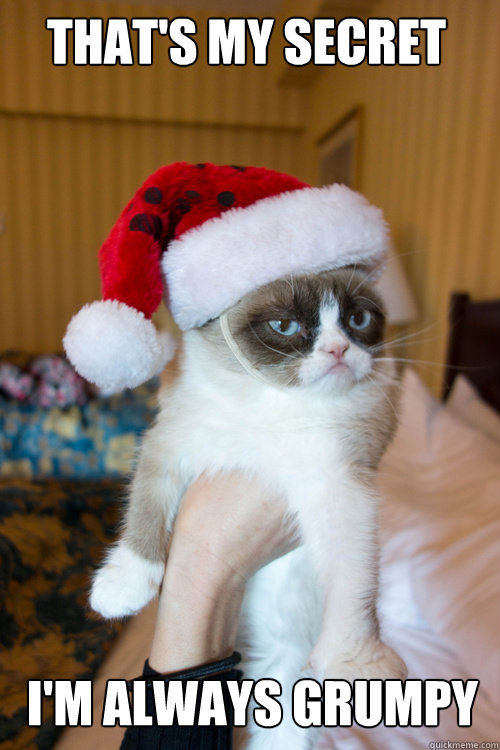 THAT'S MY SECRET I'M ALWAYS GRUMPY - THAT'S MY SECRET I'M ALWAYS GRUMPY  Christmas Grumpy Cat