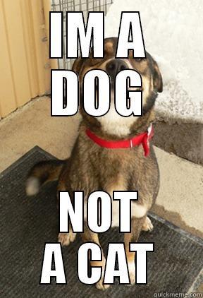 IM A DOG NOT A CAT Good Dog Greg
