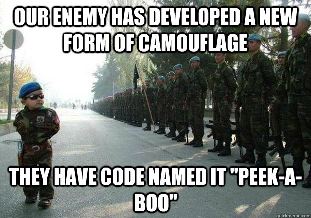 Our enemy has developed a new form of camouflage  They have code named it 