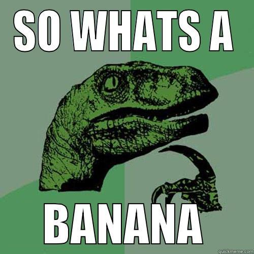 SO WHATS A BANANA Philosoraptor