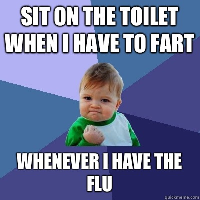 Sit on the toilet when I have to fart Whenever I have the flu  Success Kid