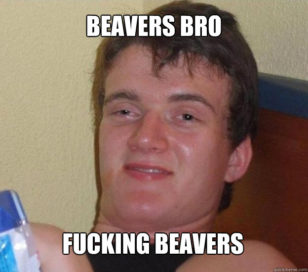 Beavers Bro Fucking Beavers  Very High Guy - News