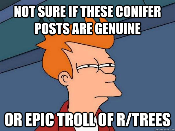 not sure if these conifer posts are genuine  or epic troll of r/trees - not sure if these conifer posts are genuine  or epic troll of r/trees  Futurama Fry