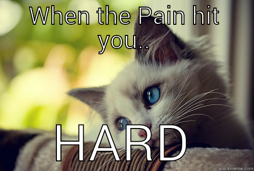 WHEN THE PAIN HIT YOU.. HARD First World Problems Cat