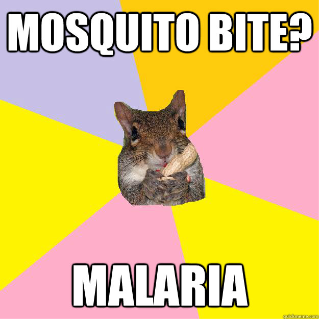 Mosquito bite? Malaria   Hypochondriac Squirrel