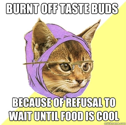 burnt off taste buds because of refusal to wait until food is cool - burnt off taste buds because of refusal to wait until food is cool  Hipster Kitty