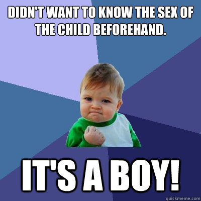 Didn't want to know the sex of the child beforehand. It's a boy!  Success Kid