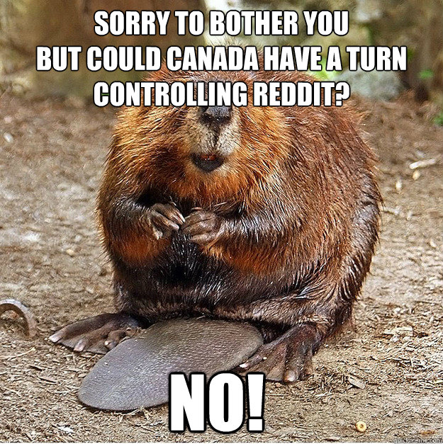 Sorry to bother you
But could Canada have a turn controlling Reddit? NO! - Sorry to bother you
But could Canada have a turn controlling Reddit? NO!  Apologetic beaver
