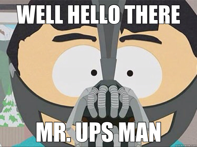 WELL HELLO THERE MR. UPS MAN - WELL HELLO THERE MR. UPS MAN  Misc