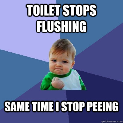 Toilet stops flushing same time I stop peeing  Success Kid