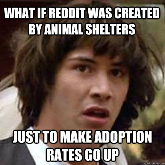 What if reddit was created by animal shelters just to make adoption rates go up  conspiracy keanu