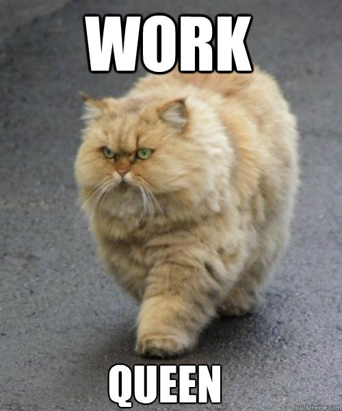 work queen - work queen  fierce cat