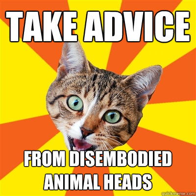 take advice from disembodied animal heads  Bad Advice Cat