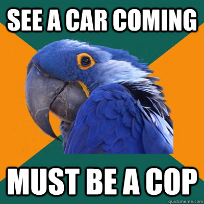 see a car coming must be a cop  Paranoid Parrot