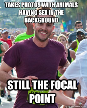 Takes photos with animals having sex in the background still the focal point  Ridiculously photogenic guy