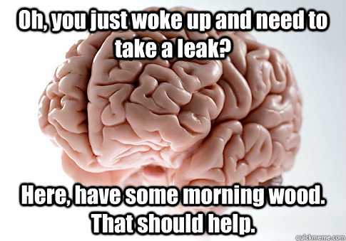Oh, you just woke up and need to take a leak? Here, have some morning wood. That should help.   Scumbag Brain