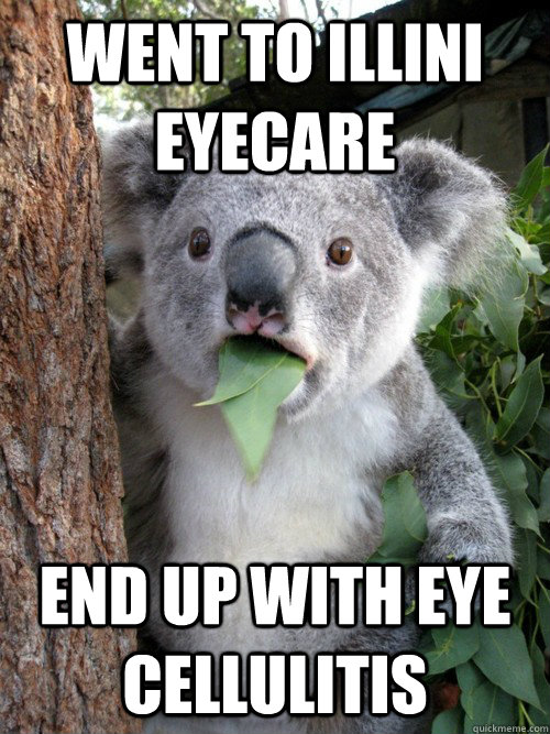 Went to Illini Eyecare End up with eye cellulitis - Went to Illini Eyecare End up with eye cellulitis  koala bear