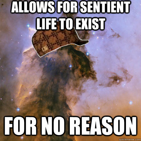 Allows for sentient life to exist FOR NO REASON  