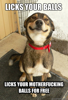 Licks your balls Licks your motherfucking balls for free  Good Dog Greg