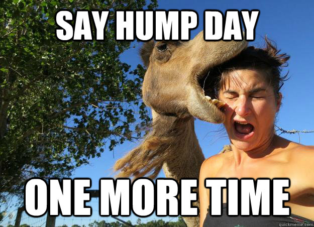 Say Hump Day One More Time - Say Hump Day One More Time  Misc